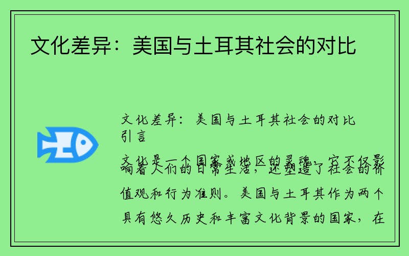 文化差异：美国与土耳其社会的对比