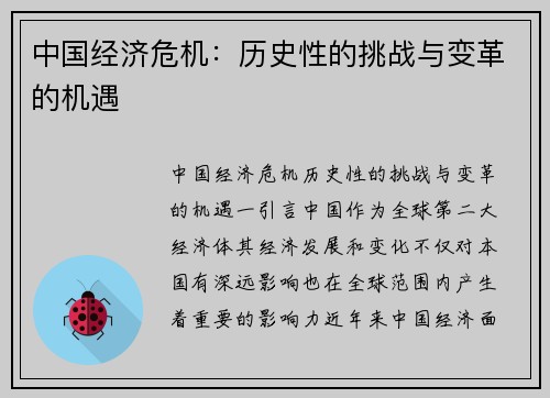 中国经济危机：历史性的挑战与变革的机遇